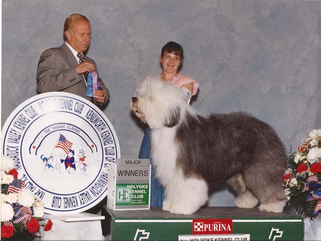 Old English Sheepdog